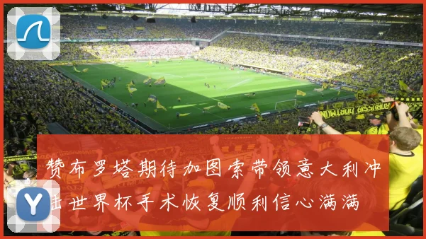 赞布罗塔期待加图索带领意大利冲击世界杯手术恢复顺利信心满满